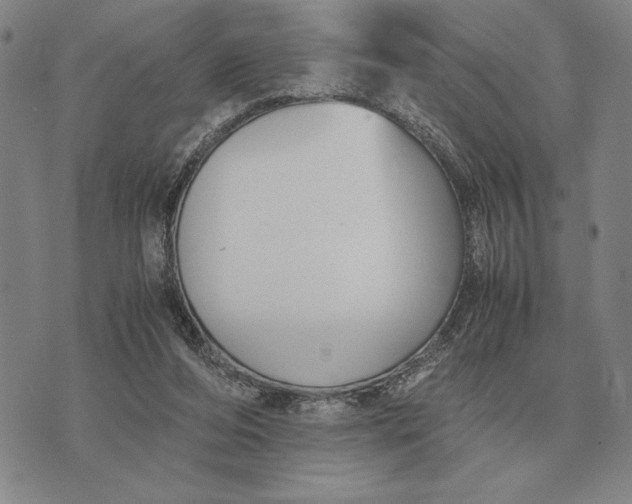 X0000071830208200607211810