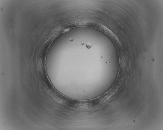 X0000071830209200607211810