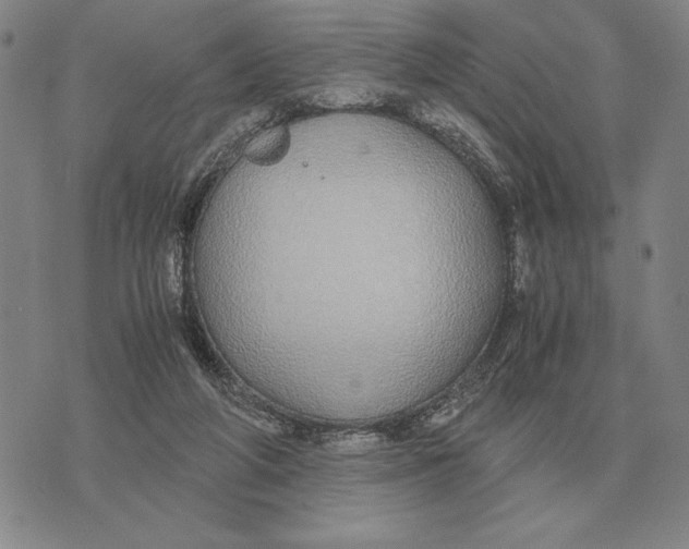 X0000071830210200607211810