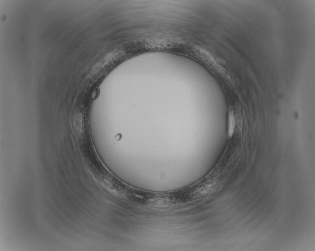 X0000071830211200607211810