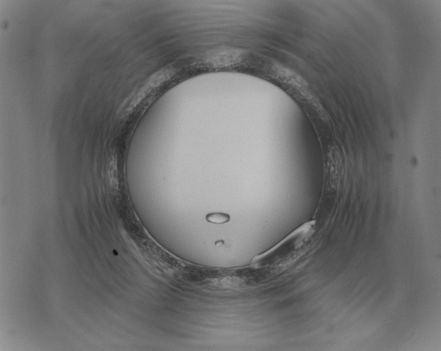 X0000071830212200607211810