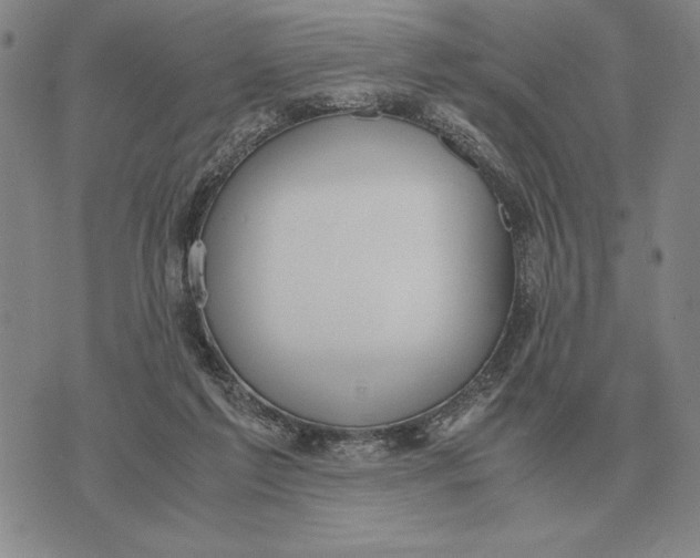 X0000071830213200607211810