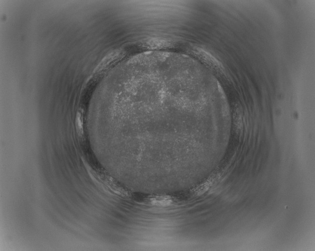 X0000071830214200607211810