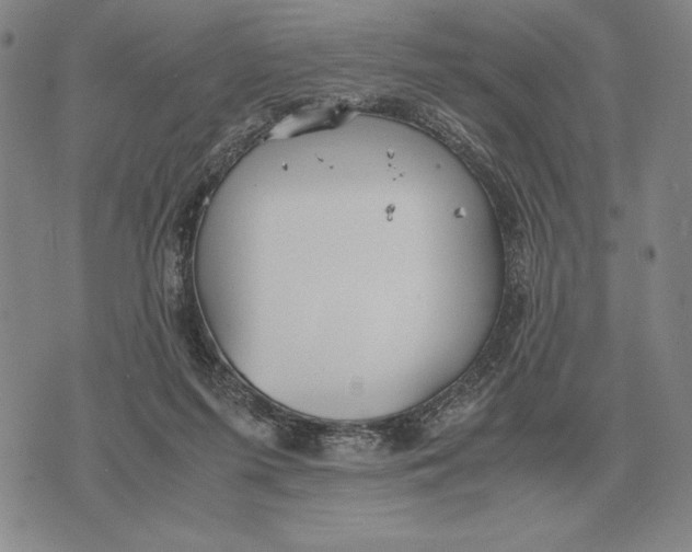 X0000071830215200607211810