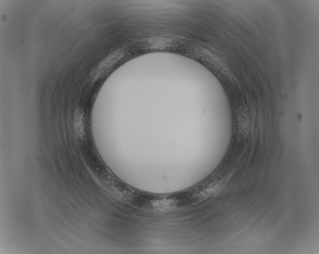 X0000071830216200607211810