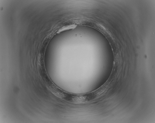 X0000071830217200607211810