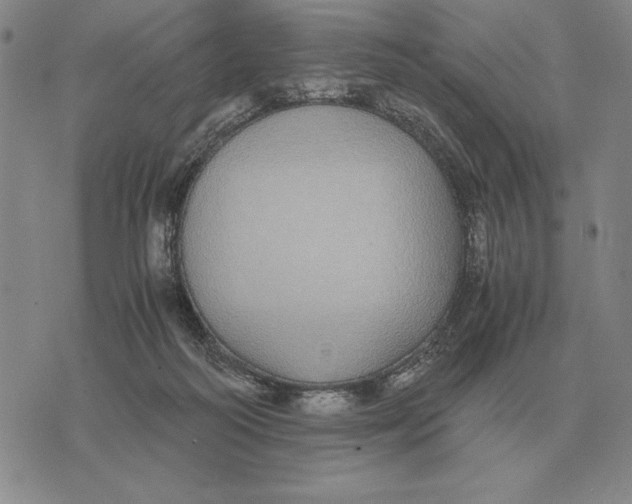 X0000071830218200607211810