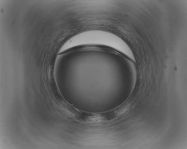 X0000071830219200607211810