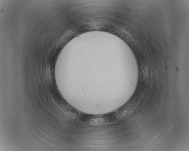 X0000071830220200607211810