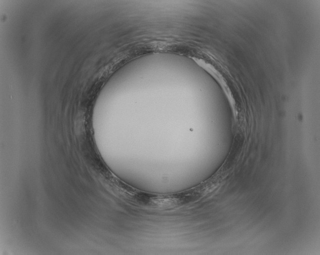 X0000071830221200607211810