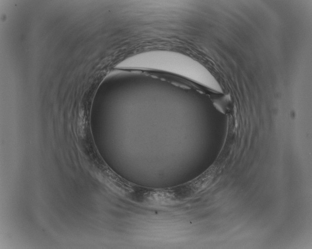 X0000071830223200607211810