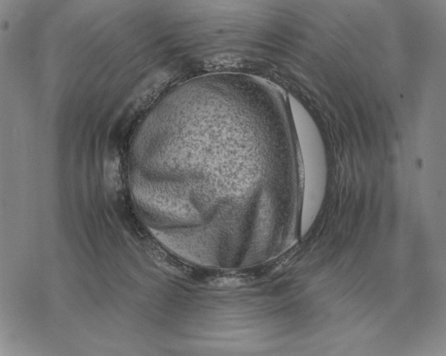 X0000071830224200607211810