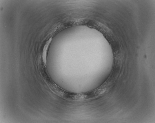 X0000071830225200607211810