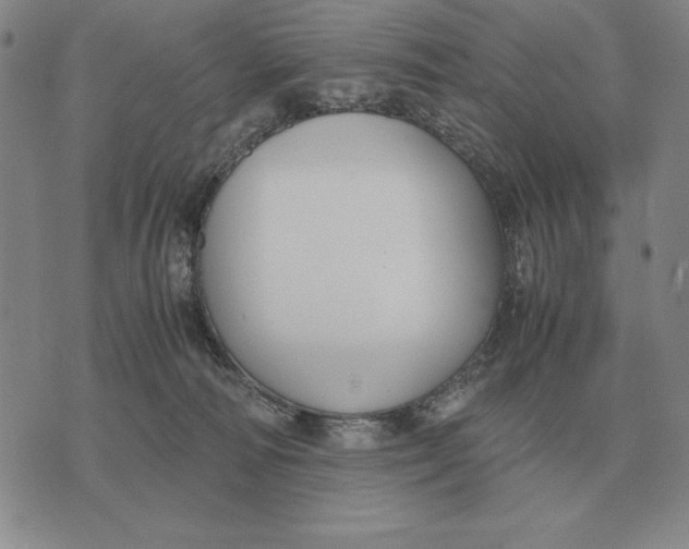 X0000071830226200607211810