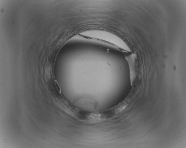 X0000071830227200607211810