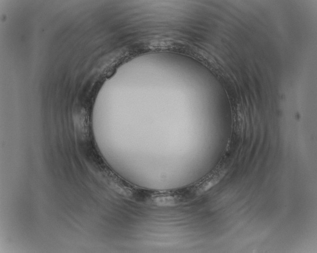 X0000071830228200607211810