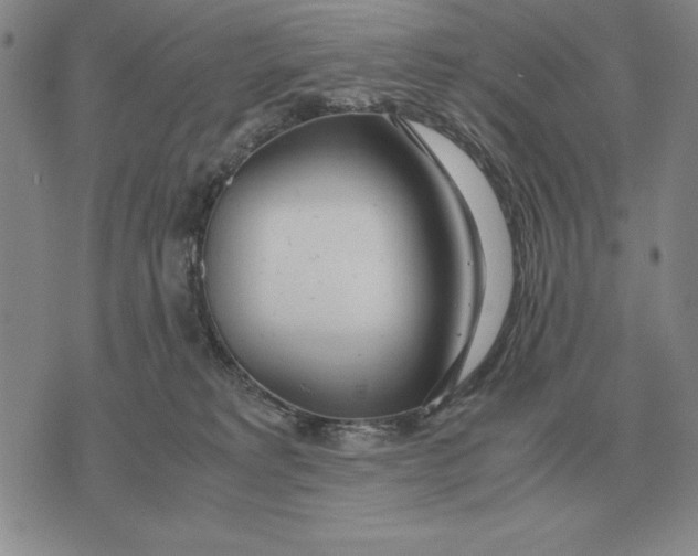 X0000071830229200607211810