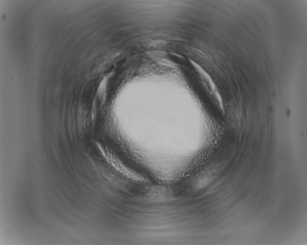 X0000071830230200607211810