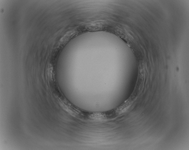 X0000071830231200607211810