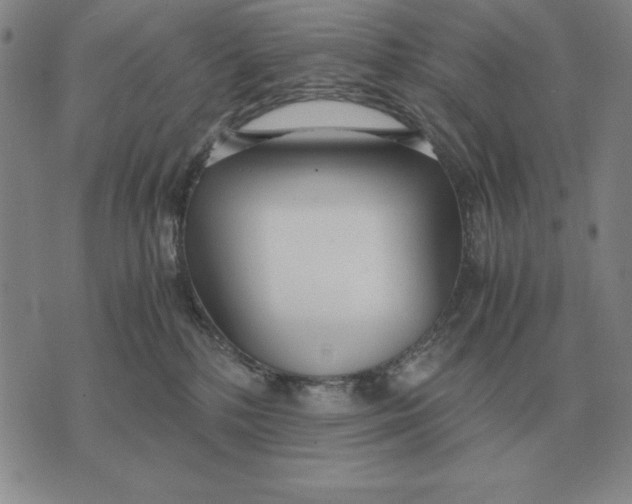 X0000071830232200607211810