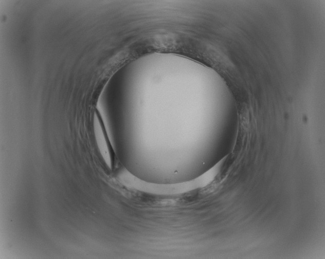 X0000071830233200607211809