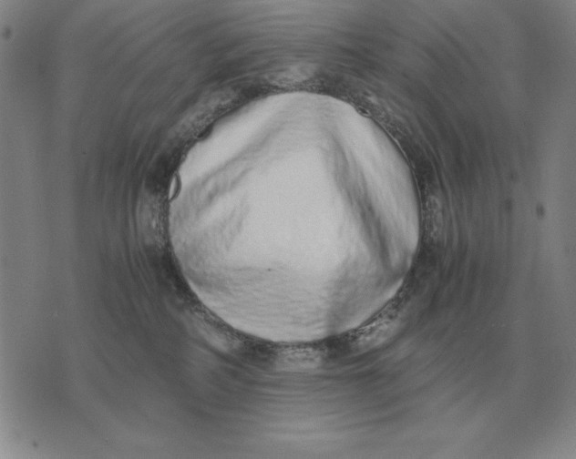 X0000071830234200607211809