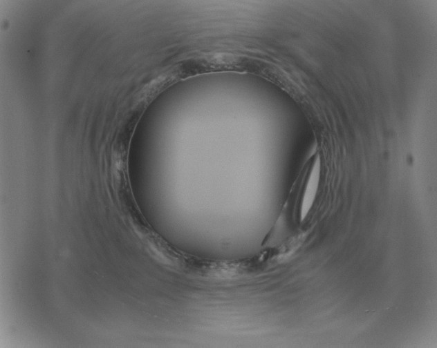 X0000071830235200607211809