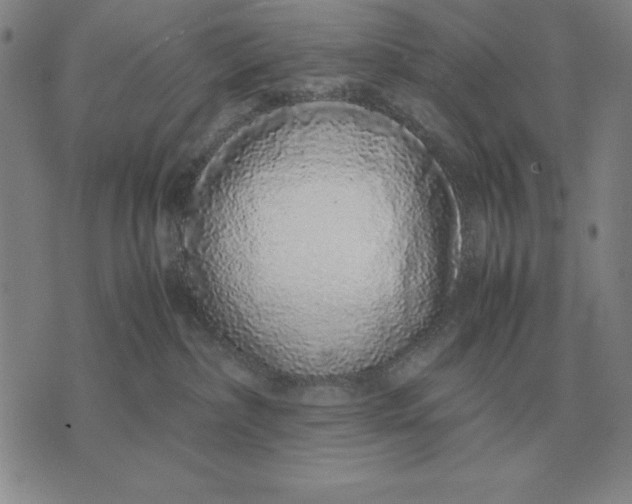 X0000071830236200607211809