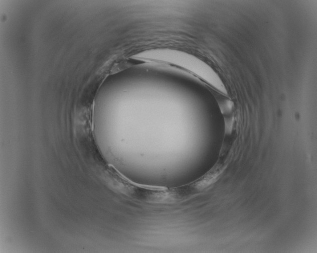 X0000071830237200607211809