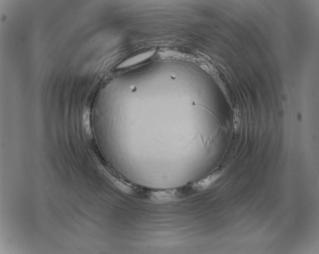 X0000071830238200607211809