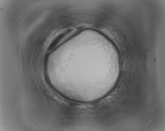 X0000071830241200607211809