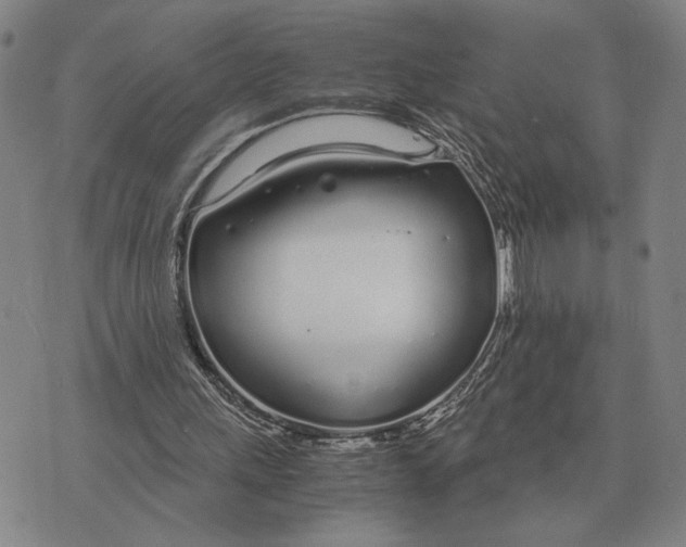 X0000071830243200607211809