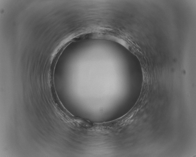 X0000071830244200607211809