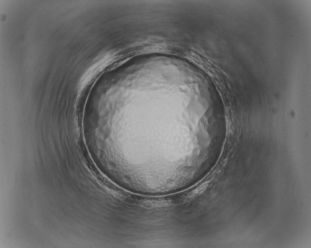 X0000071830245200607211809