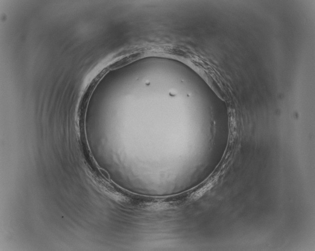 X0000071830246200607211809