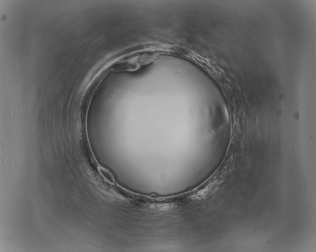 X0000071830247200607211809