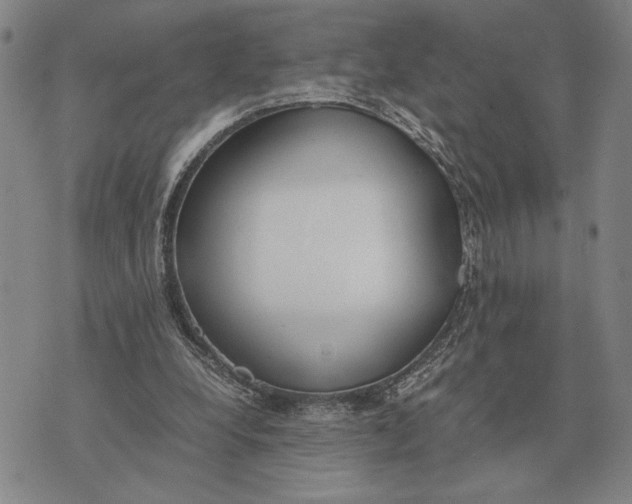 X0000071830248200607211809