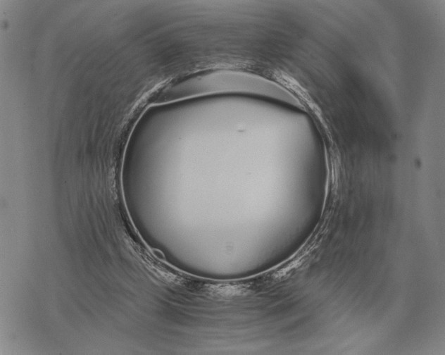 X0000071830249200607211809