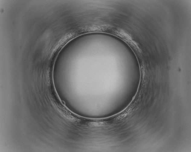 X0000071830250200607211809