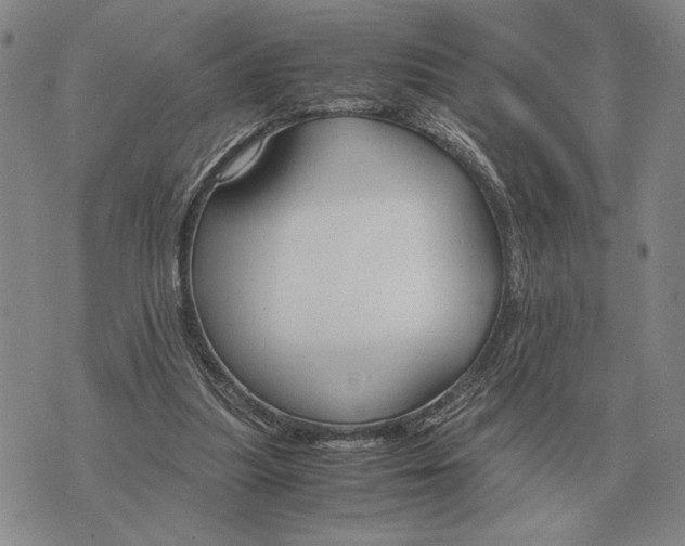 X0000071830251200607211809