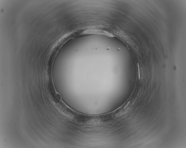 X0000071830252200607211809