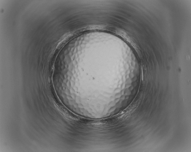 X0000071830253200607211809