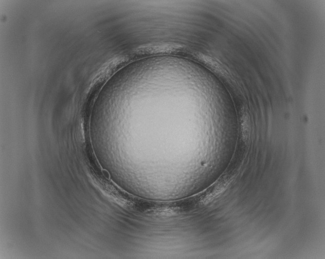 X0000071830254200607211809