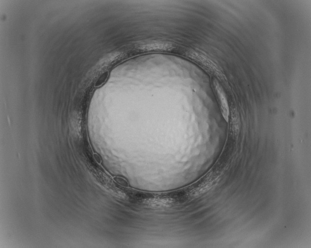 X0000071830255200607211809