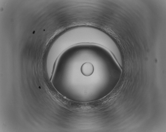 X0000071830256200607211809