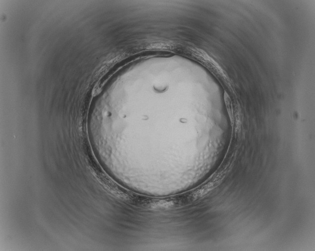 X0000071830257200607211809