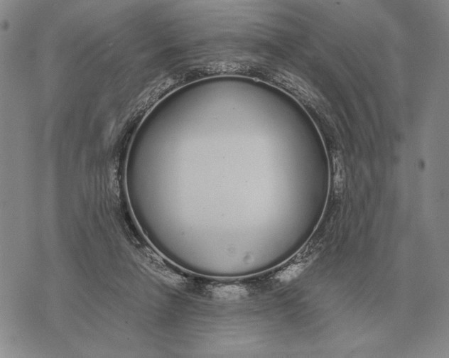 X0000071830258200607211809