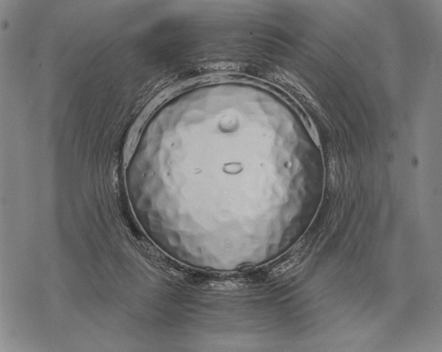 X0000071830259200607211809