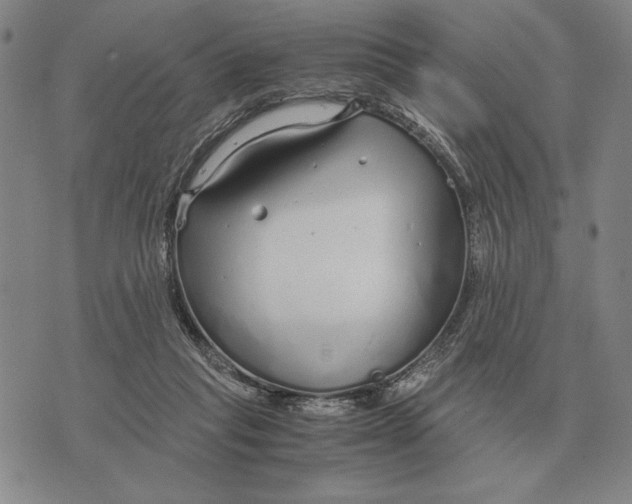 X0000071830261200607211809