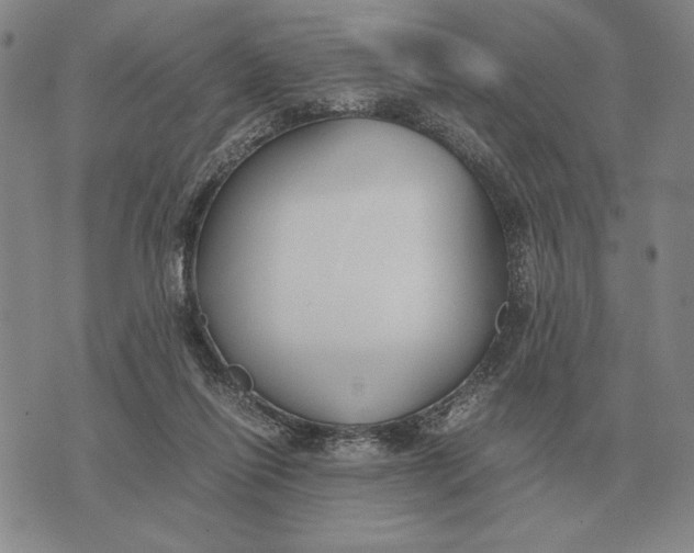 X0000071830262200607211809